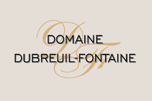 Domaine Dubreuil-Fontaine