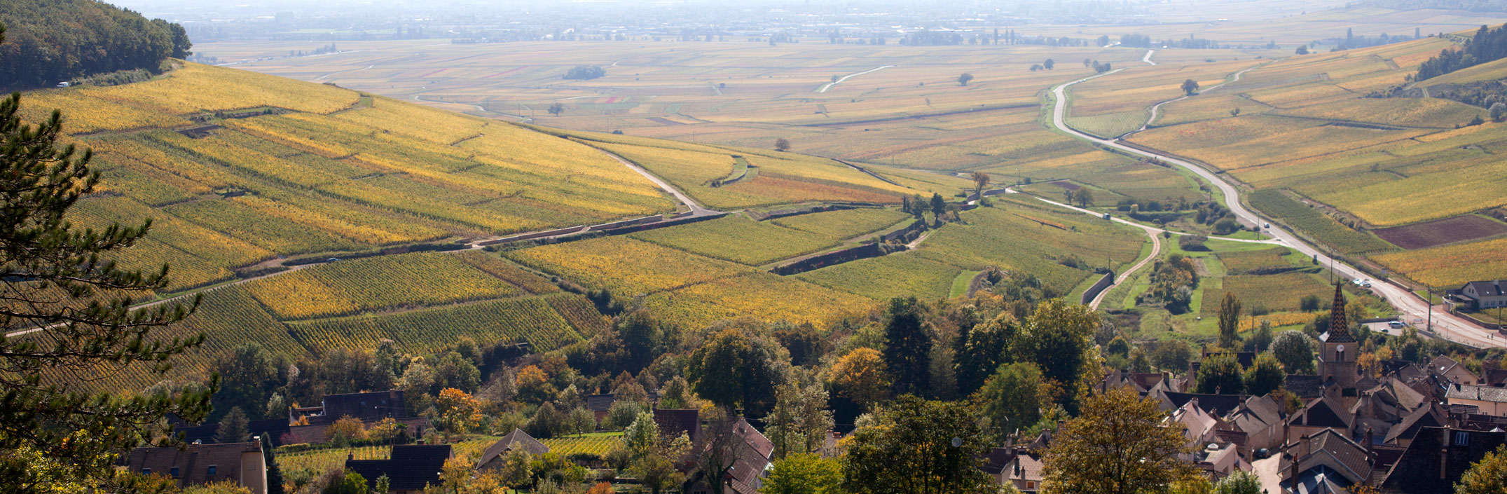 Domaine Dubreuil-Fontaine, Pernand Vergelesses, Bourgogne, Armelle photographe