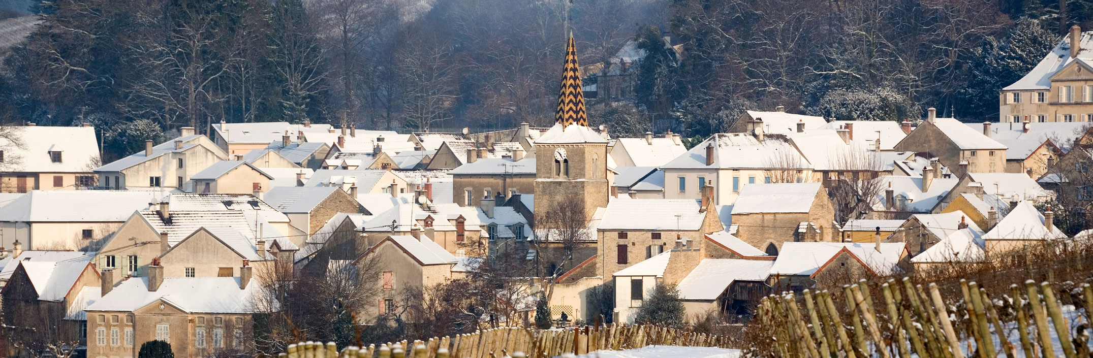 Domaine Dubreuil-Fontaine, Pernand Vergelesses, Bourgogne, Armelle photographe