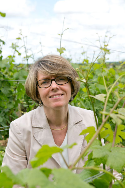 Domaine Dubreuil-Fontaine, Pernand Vergelesses, Bourgogne, Armelle photographe